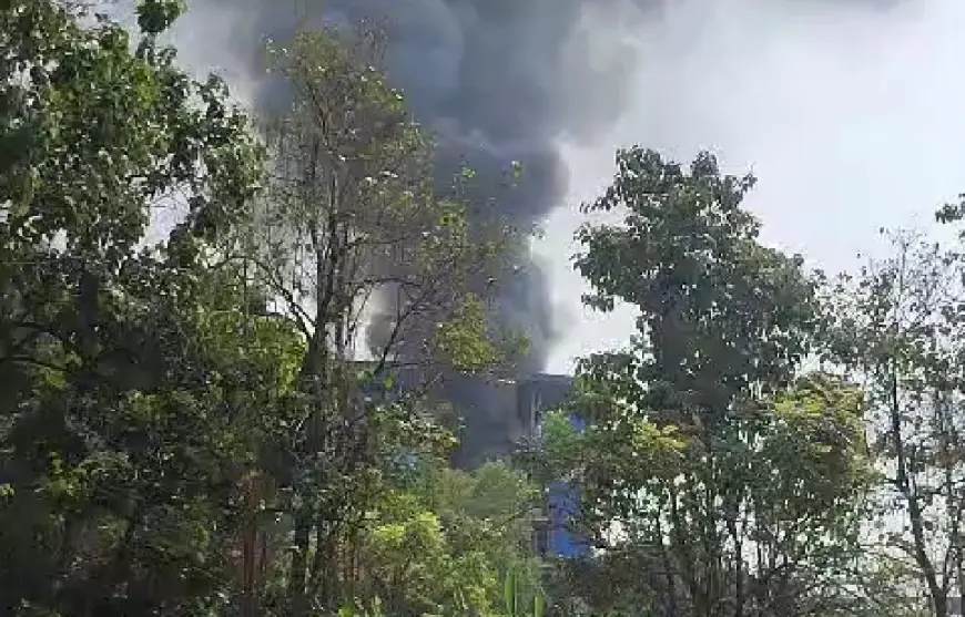 Pabrik PT Wilmar di Gresik Diduga Terbakar, Viral Kepulan Asap Hitam