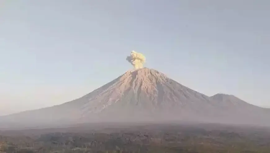 Gunung Semeru Kembali Erupsi, Abu Vulkanik Membumbung hingga 1.000 Meter