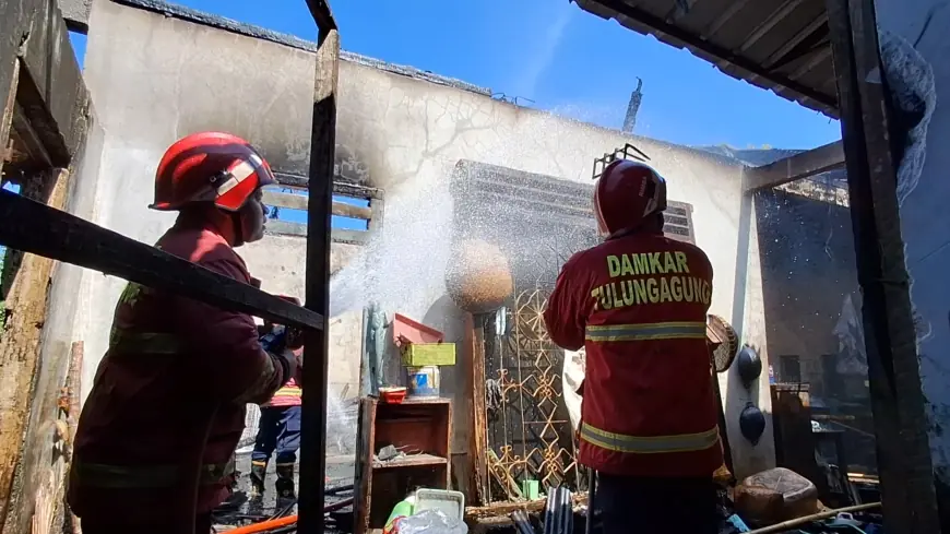 Gudang Penetasan Telur di Tulungagung Terbakar, Kerugian Capai Rp100 Juta