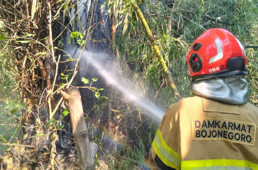 Rumpun Bambu Terbakar di Balen, Damkar Bojonegoro Bergerak Cepat Padamkan Api