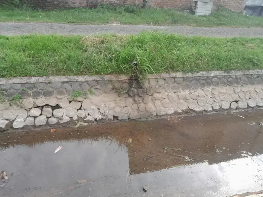 Pemilik Kandang Ayam di Nganjuk Diperiksa Terkait Dugaan Pencemaran