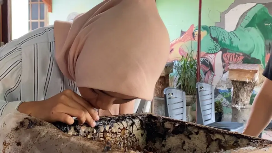 Sensasi Mengisap Madu Langsung dari Sarang di Kampung Wisata 3D Blitar