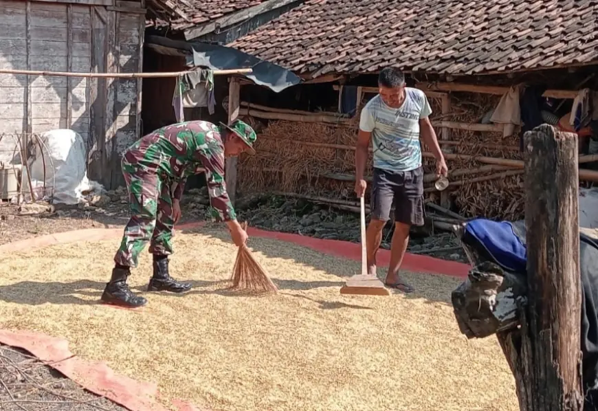 TMMD-125 Jombang: Kehangatan TNI Bersama Warga dari Gotong Royong hingga Jemur Padi