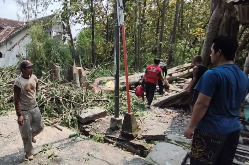 Penebang Kayu Tewas Tertimpa Pohon di Kota Mojokerto, Keluarga Ikhlas
