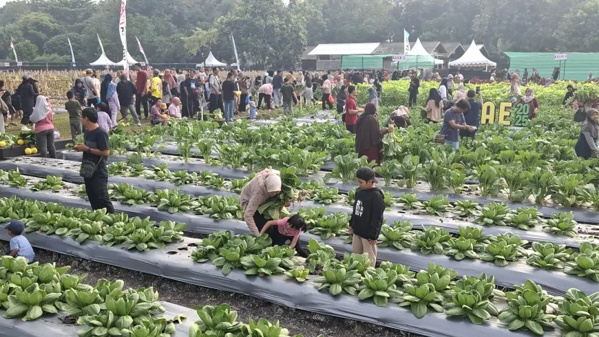 Petrokimia Gresik Gelar Petro Agrifood Expo, Dorong Generasi Muda Berkembang di Sektor Pertanian