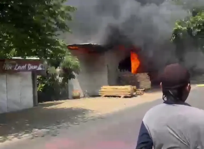 Jago Merah Ngamuk! Toko Spons dan Rumah Ludes di Rejoso Pasuruan