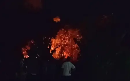 Rumpun Bambu di Kota Blitar Terbakar Lagi, Warga Curiga Ada Unsur Kesengajaan