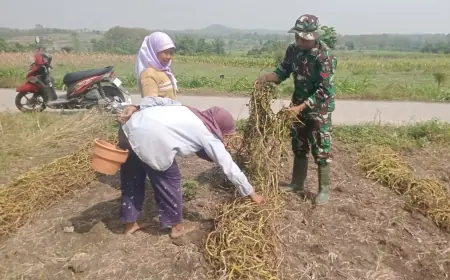 Tidak Hanya Tangani Pekerjaan Fisik saat TMMD ke-125, TNI di Jombang juga Berguru Pada Petani