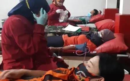 PMI Kota Batu Tekor 7 Bulan, Pelayanan Terhenti Total Sejak Akhir Juli