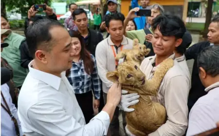 Wali Kota Surabaya Dorong Penambahan Wahana dan Satwa Langka di KBS