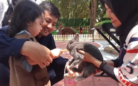 Dari Ras Flemish Giant hingga Lionhead, Puluhan Kelinci Huni Wahana Baru 'Rabbit in Wonderland' di PDTS KBS