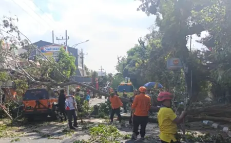 Dahan Pohon Tumbang di Kepanjen, Mobil Ringsek dan Jalan Macet