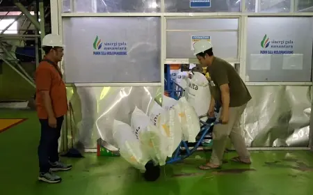 Produksi Gula PG Modjopanggoong 2025 Kurang Optimal, Cuaca Jadi Penyebab Utama