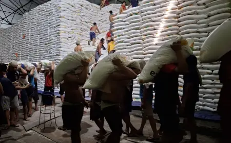 Produksi Gula PG Modjopanggoong Capai 14.824 Ton, Sistem Penjualan Diserahkan ke Petani