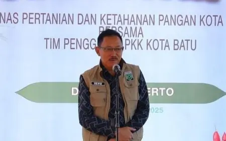 Harga Gabah Rp6.500 Per Kilogram, Panen Padi di Batu Menggeliat