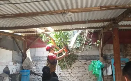 Dahan Pohon Tumbang Timpa Rumah Warga, BPBD Malang Turun Tangan