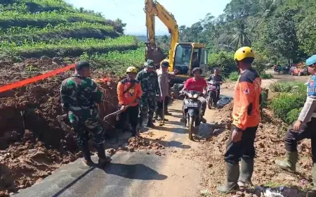 Longsor Tutup Jalan Penghubung Tulungagung-Trenggalek, Akses Dibuka Bertahap