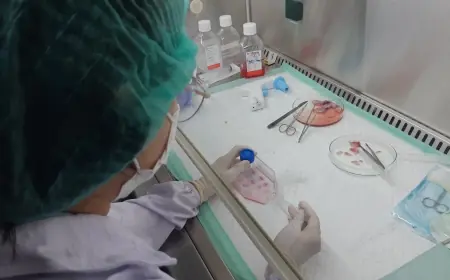 UKWMS Kembangkan Riset Stem Cell untuk Kesehatan Regeneratif