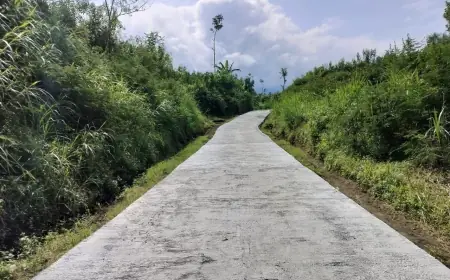Wajah Baru Infrastruktur Wajak Malang, Jalan ke Hutan Pinus dan Lahan Pertanian Rampung Dibangun