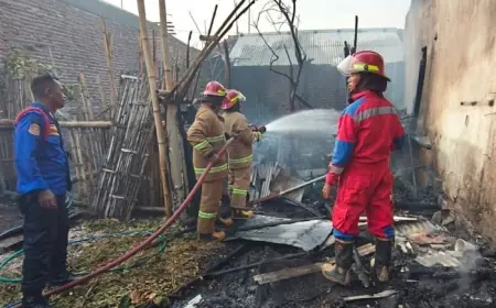 Nahas! Niat Bakar Sampah, 4 Kambing di Probolinggo Juga Ikut Hangus Terbakar