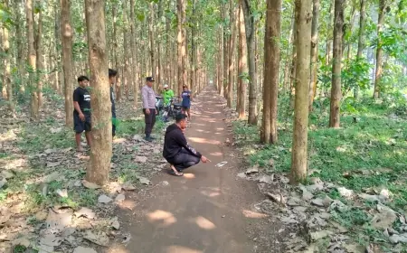 Perempuan 18 Tahun Jadi Korban Begal di Hutan Jati Blitar