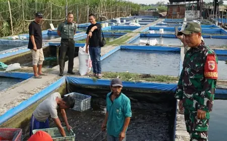 Dandim 0814 Jombang Kunjungi Peternak Lele, Bentuk Dukungan untuk Ketahanan Pangan
