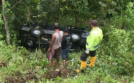 Jalan Licin akibat Gerimis, Mobil Pikap Terperosok ke Jurang di Wonosari Malang