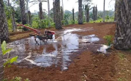Kekeringan Meluas di Kabupaten Malang, Sumur Warga Mulai Mengering