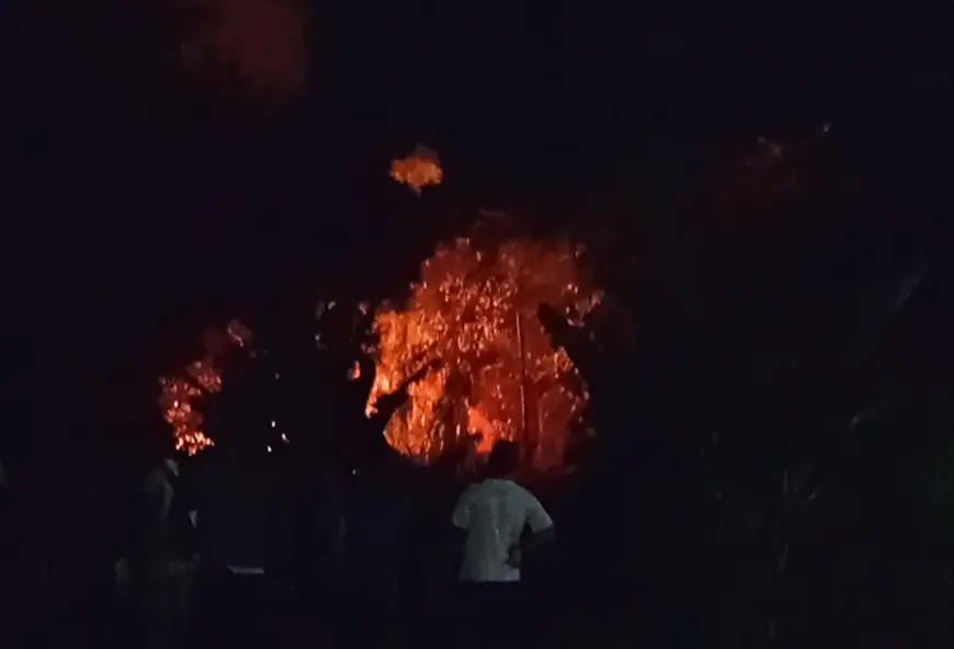 Rumpun Bambu di Kota Blitar Terbakar Lagi, Warga Curiga Ada Unsur Kesengajaan