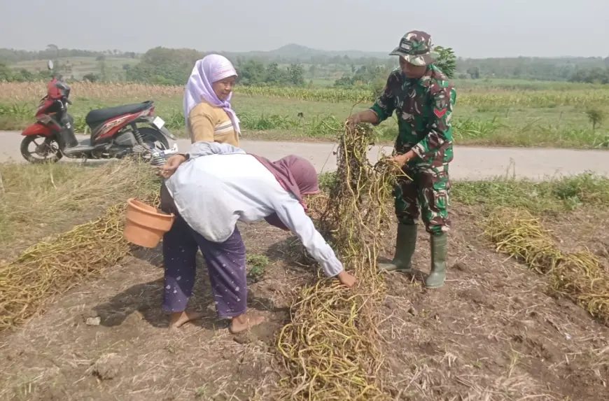 Tidak Hanya Tangani Pekerjaan Fisik saat TMMD ke-125, TNI di Jombang juga Berguru Pada Petani