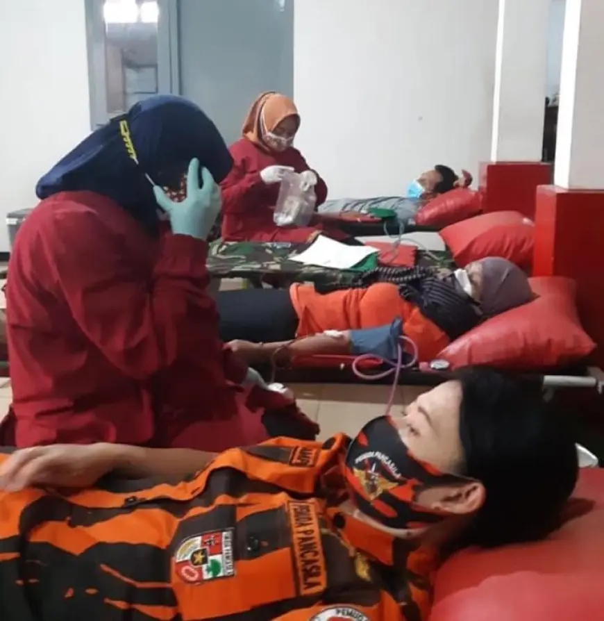 PMI Kota Batu Tekor 7 Bulan, Pelayanan Terhenti Total Sejak Akhir Juli
