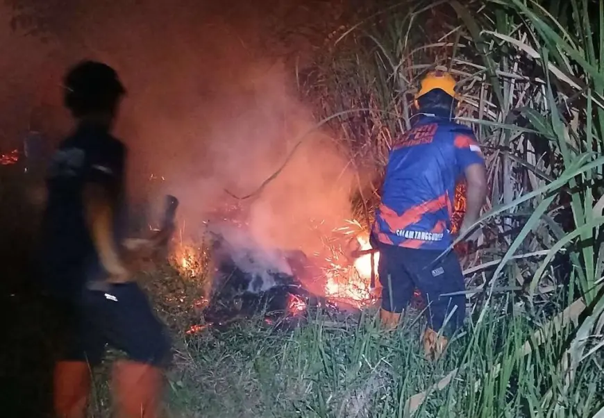 Dalam Semalam, Api Lalap Lahan Tebu dan Pohon Sengon di Bondowoso