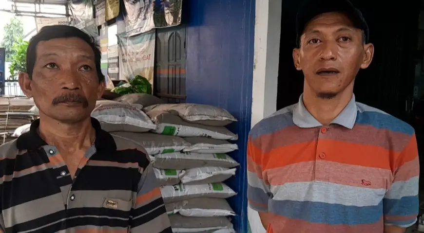Tunggakan Pupuk Subsidi Rp25 Juta, Petani dan Kios di Nganjuk Hadapi Dilema