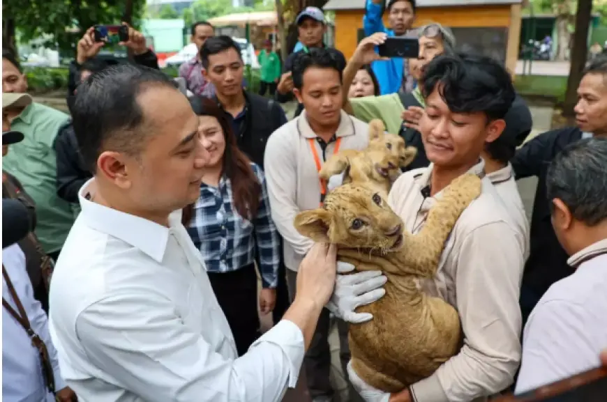 Wali Kota Surabaya Dorong Penambahan Wahana dan Satwa Langka di KBS