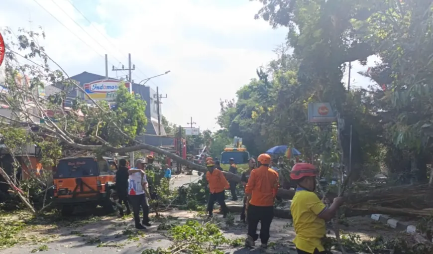 Dahan Pohon Tumbang di Kepanjen, Mobil Ringsek dan Jalan Macet