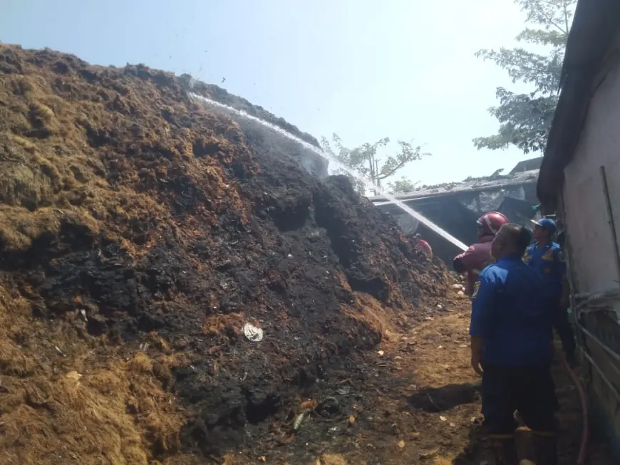 Gudang Serabut Kelapa di Ngunut Terbakar, Damkar Tulungagung Gerak Cepat