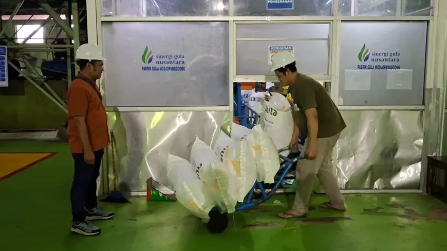 Produksi Gula PG Modjopanggoong 2025 Kurang Optimal, Cuaca Jadi Penyebab Utama