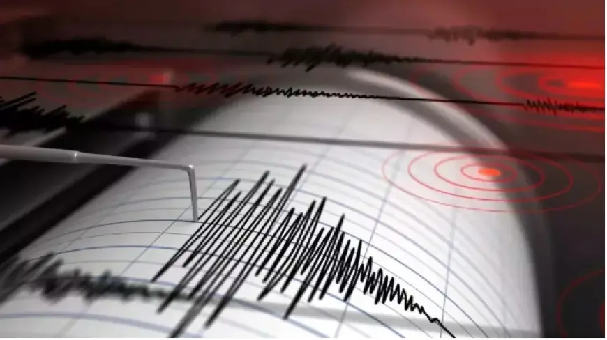 Gempa Magnitudo 2,9 Guncang Banyuwangi Jatim