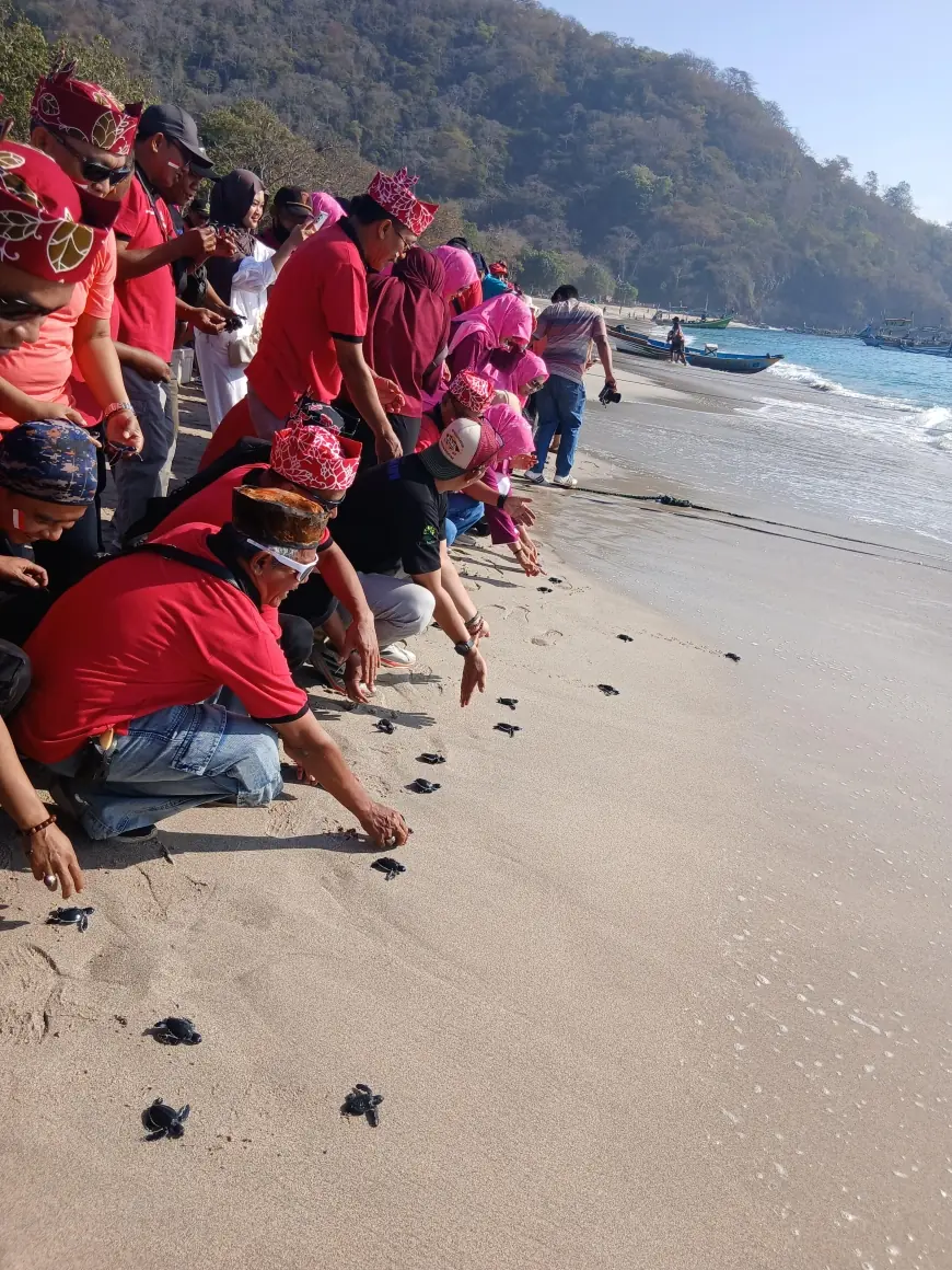Konservasi, Ratusan Burung dan Tukik Dilepas Bebas di Pantai Papuma Jember