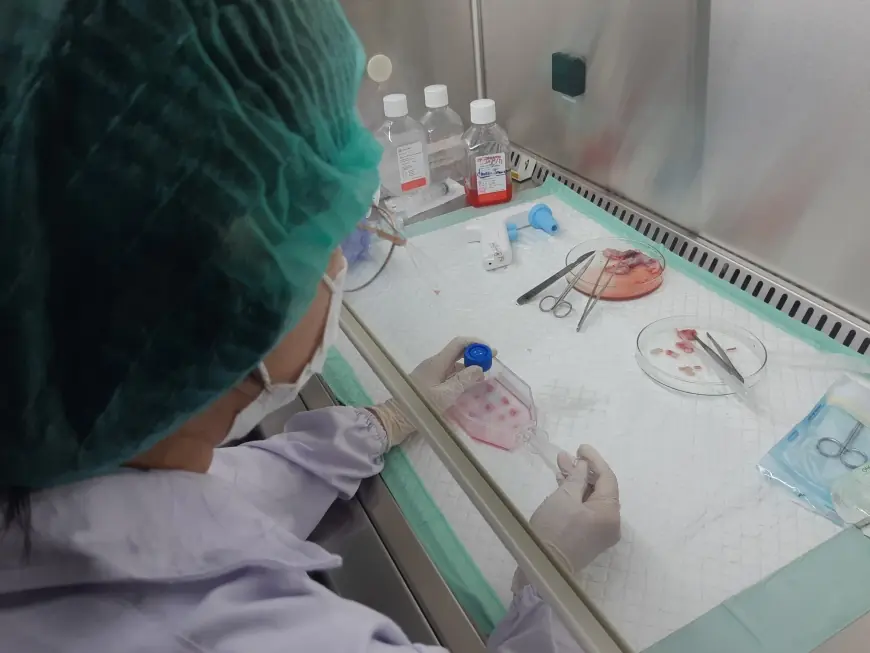 UKWMS Kembangkan Riset Stem Cell untuk Kesehatan Regeneratif