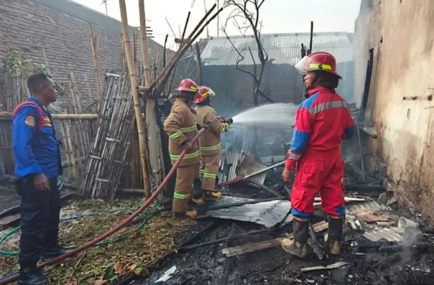 Nahas! Niat Bakar Sampah, 4 Kambing di Probolinggo Juga Ikut Hangus Terbakar