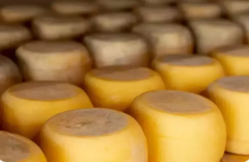 5 Makanan Ini Bisa Bikin Tubuh Lelah dan Mudah Mengantuk