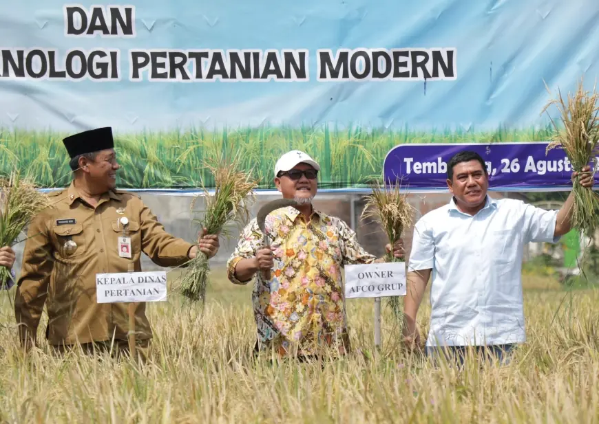 Panen Perdana Padi Organik Tandai Program Bapak Asuh Pertanian Jombang
