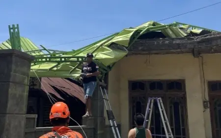 Cuaca Ekstrem di Mojokerto Sebabkan Atap Ambruk hingga Pohon Tumbang, Masyarakat Diimbau Waspada