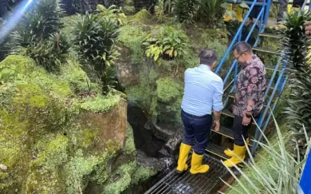 Dugaan Pencemaran Lingkungan, KLH Awasi 5 Perusahaan di DAS Brantas