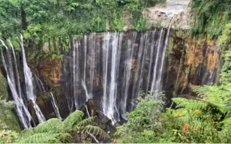 Self Healing di Alam: 5 Destinasi Hidden Gem di Jawa Timur