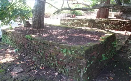 Jejak Sejarah di Hutan Jati Nganjuk: Struktur Candi Kuno Era Majapahit