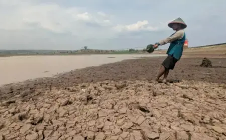 Tradisi Panen Ikan Waduk Dawuhan, Berkah Tahunan Warga Madiun