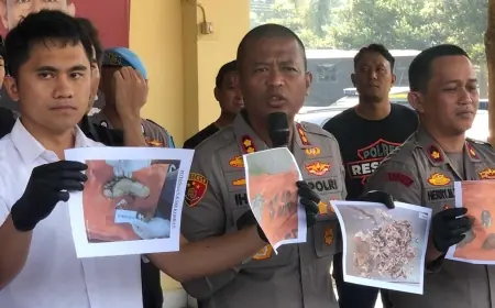 Terungkap, Motif Pria Habisi Kekasihnya dan Tubuhnya Dicincang Menjadi Ratusan Bagian