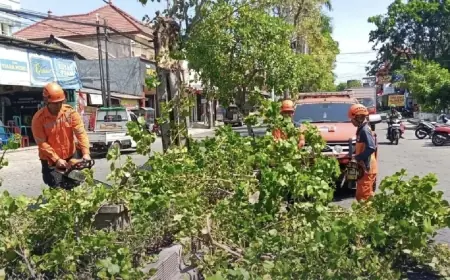 Anomali Cuaca, BPBD Gresik Peringatkan Ancaman Bencana Angin Kencang